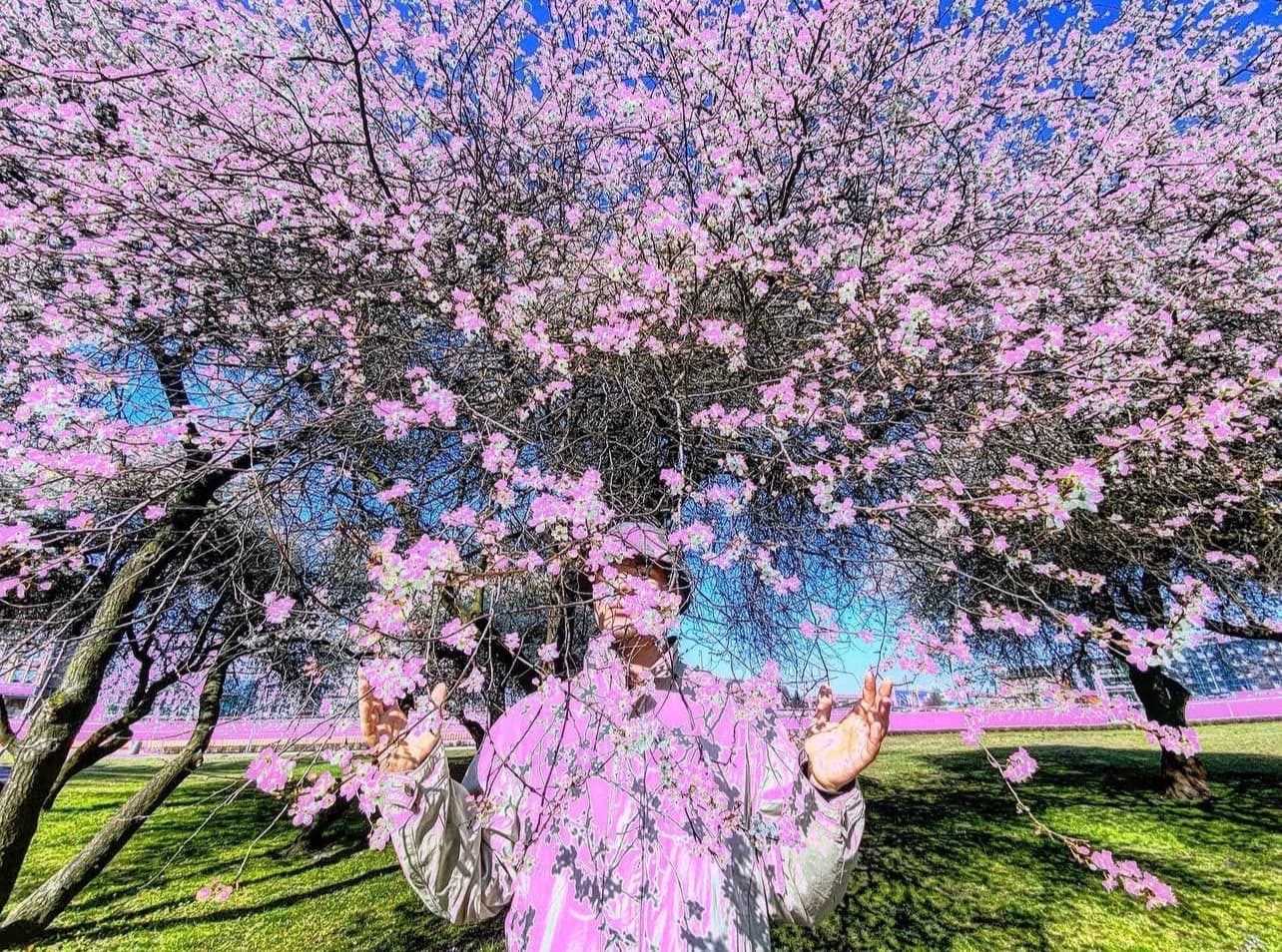 Hlib standing beneath a blooming pink cherry-blossom tree, hands raised